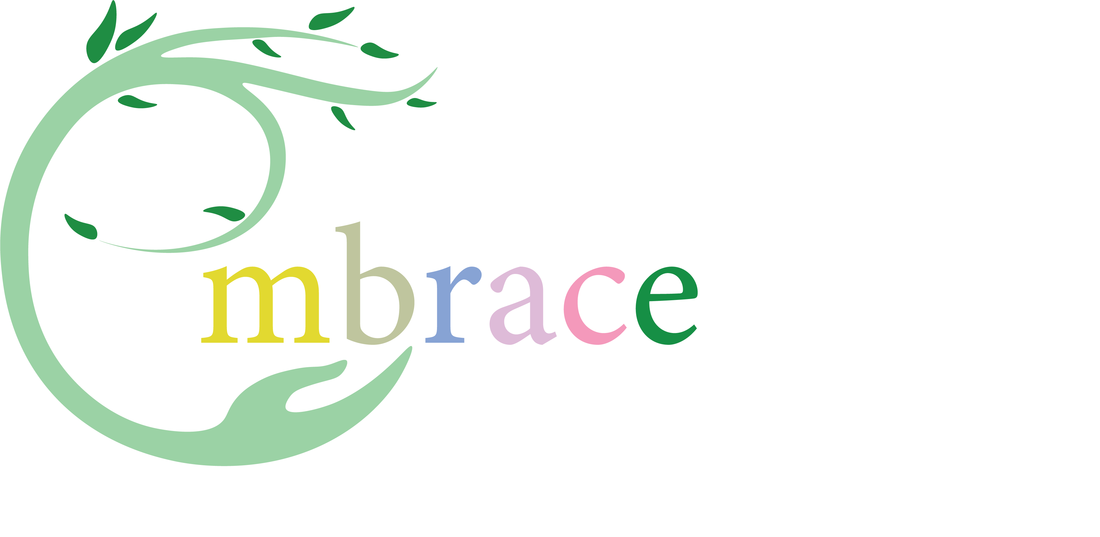 Embrace Edu